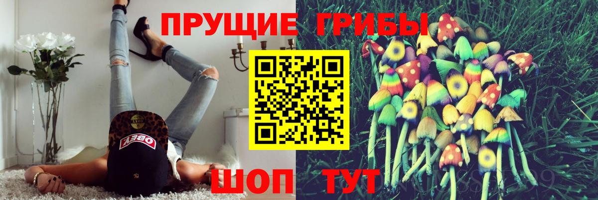 Псилоцибиновые грибы мицелий Красноармейск